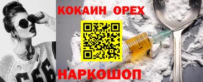 стафф Кингисепп