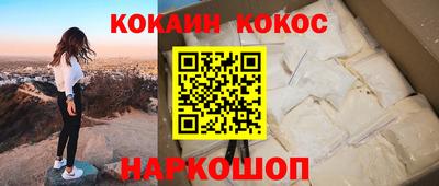 стафф Кингисепп