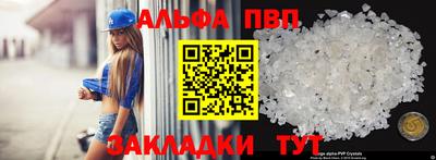 стафф Кингисепп
