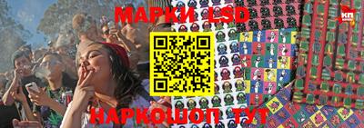 spice Кинель