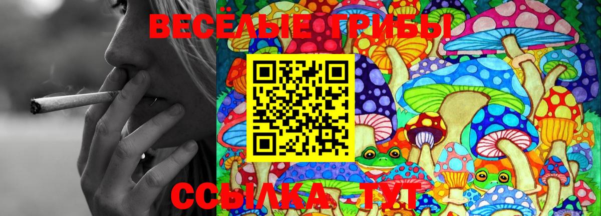 Галлюциногенные грибы ЛСД Фрязино