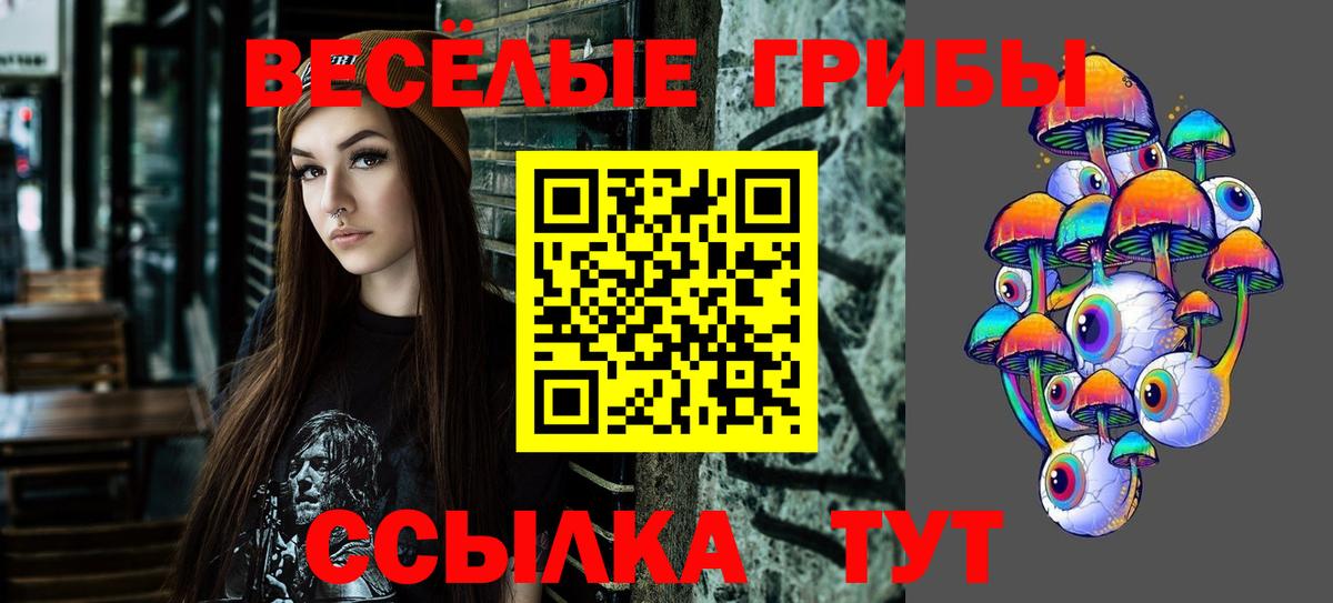 Фрязино  Псилоцибиновые грибы GOLDEN TEACHER  Галлюциногенные грибы GOLDEN TEACHER  Вход с VPN 